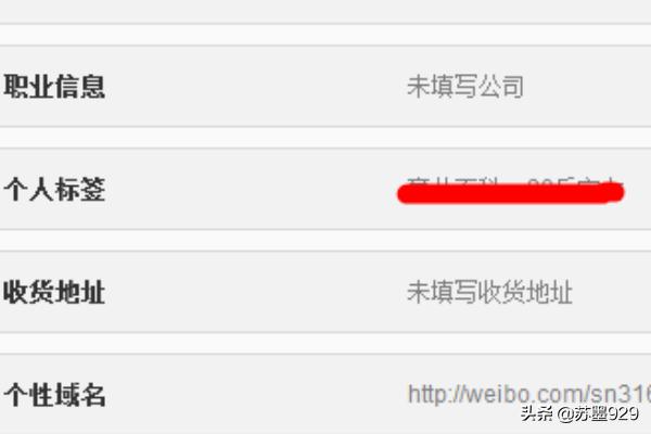 我的网站怎么写，www的网址格式怎么写？