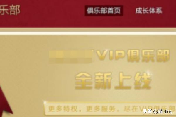 开发网站赚钱吗，建一个网站怎样才能赚钱?是如何盈利的？