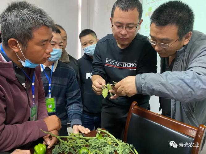 寿光平台公司有哪些，什么是寿光果蔬果交易所不正规吗？