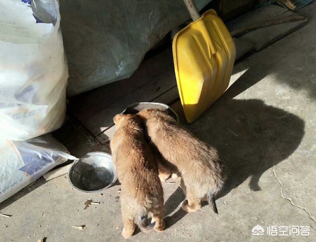呼伦贝尔建成建筑有限公司，海拉尔高铁站开始建了吗？