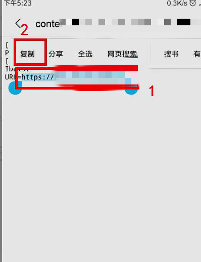 手机网站搭建教程，手机浏览器如何设置为网页版？