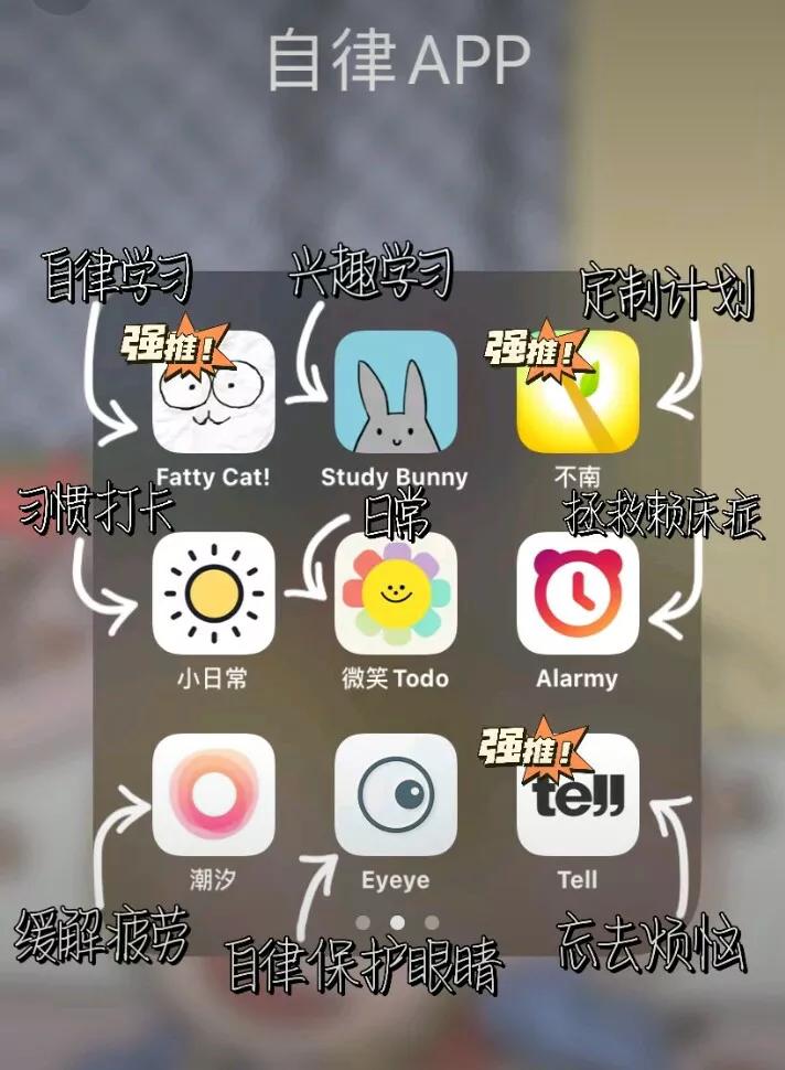 网页设计与制作报告论文3000字，各位有什么收藏的网站或者app分享？