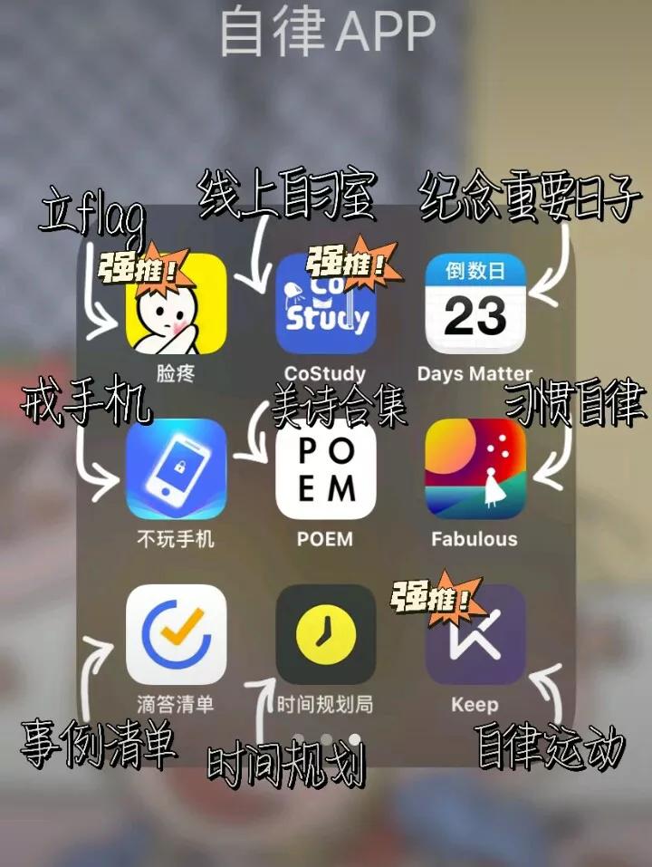 网页设计与制作报告论文3000字，各位有什么收藏的网站或者app分享？