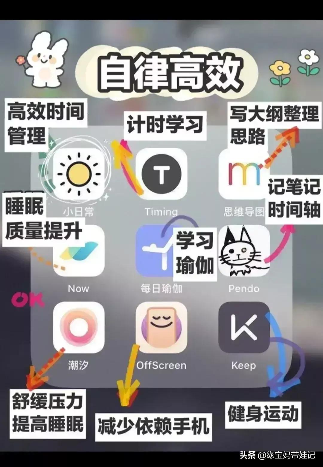 网页设计与制作报告论文3000字，各位有什么收藏的网站或者app分享？