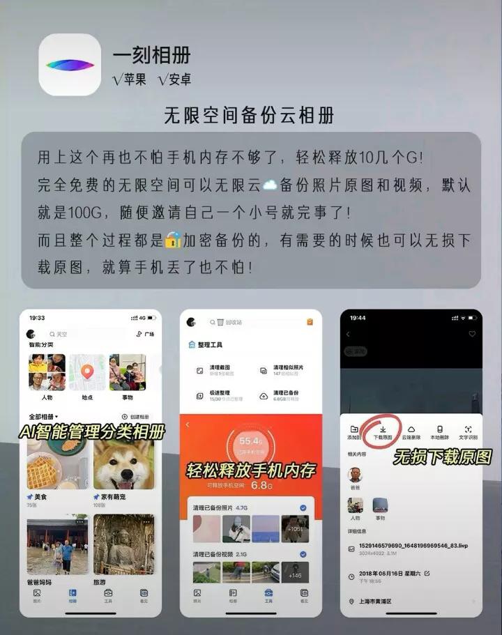 网页设计与制作报告论文3000字，各位有什么收藏的网站或者app分享？