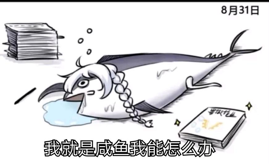 网页设计与制作报告论文3000字，各位有什么收藏的网站或者app分享？