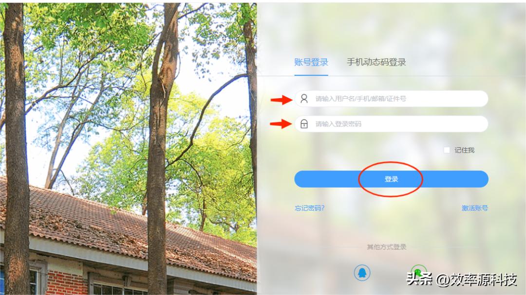 网站的设计与制作论文题目，该怎样写论文和改论文？有哪些好的查重网站？