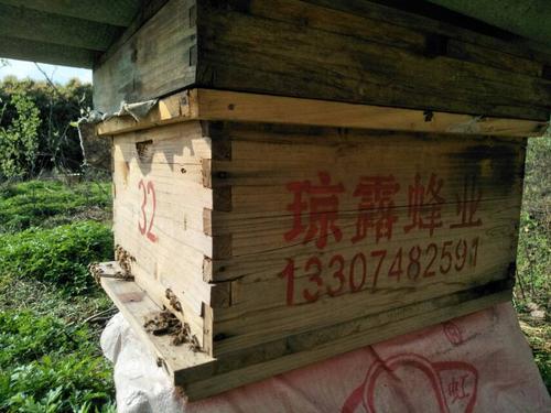 长沙网站搭建,长沙市望城区橘子网络科技有限公司介绍?