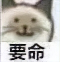 免费网站建设设计制作公司有哪些，哪里有好用的免费简历模板App下载，或者好用的简历制作网站？