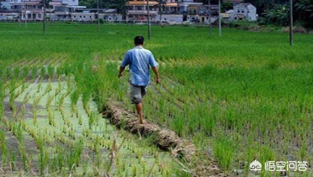 网站建设平台排名软件，除了站酷，还有哪些比较好的设计网站？