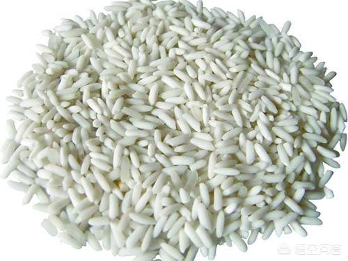 网站建设教程美食，哪个教做美食的网站比较专业点？