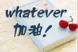 网站开发难度，发表SCI论文有多难？