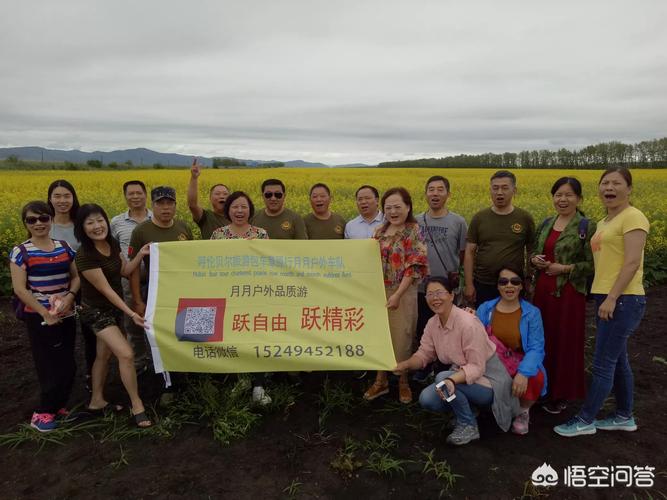 呼伦贝尔网站建设公司招聘，想去呼伦贝尔放羊工资会不会很低？