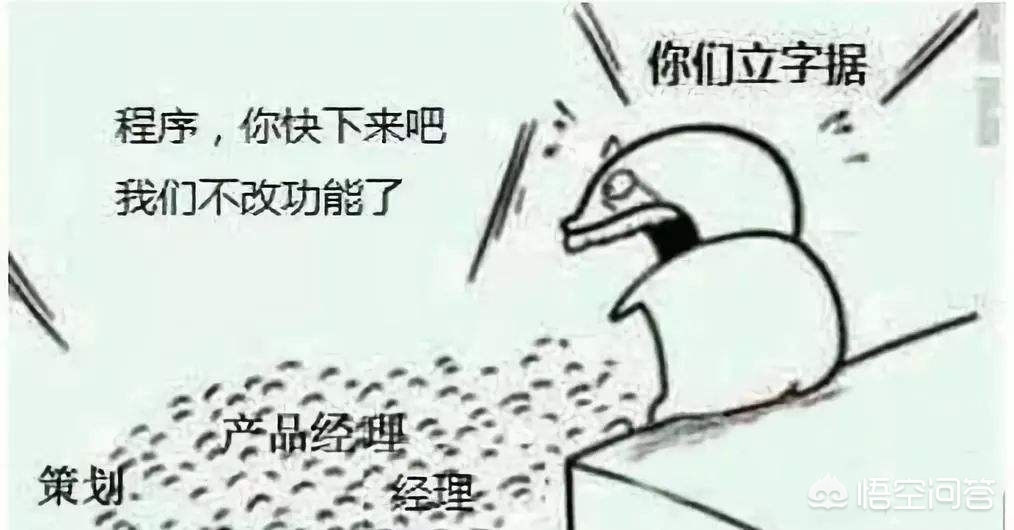网站开发要学什么，网站开发与维护是学什么？