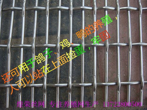 搭建网站教程，养殖网床搭建方法？
