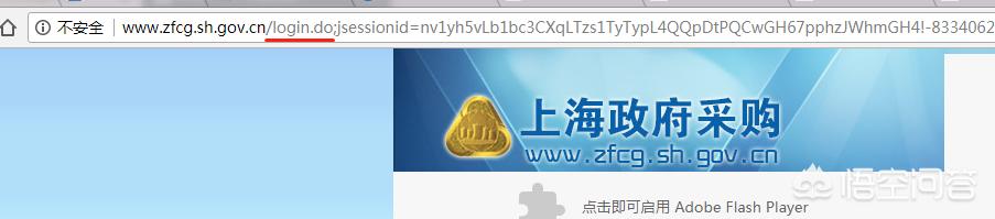 网站开发学什么专业好就业，开发网页需要学什么？