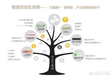 网站建设的平台，建设招标网信息可靠吗？